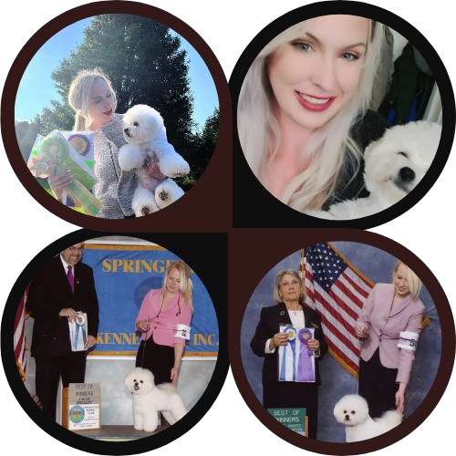 Erin MacDermott with champion Bichon Frisé
